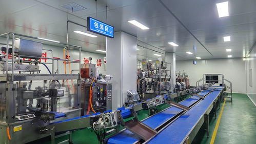 2025年復合調味料研發代加工廠家排名前十強榜單 江蘇天味食品科技領跑行業技術服務